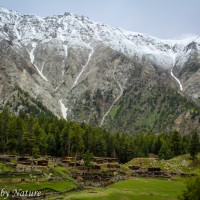 Dusted Peaks above Fairy Meadows