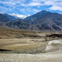 A Lone House on the Long Indus River