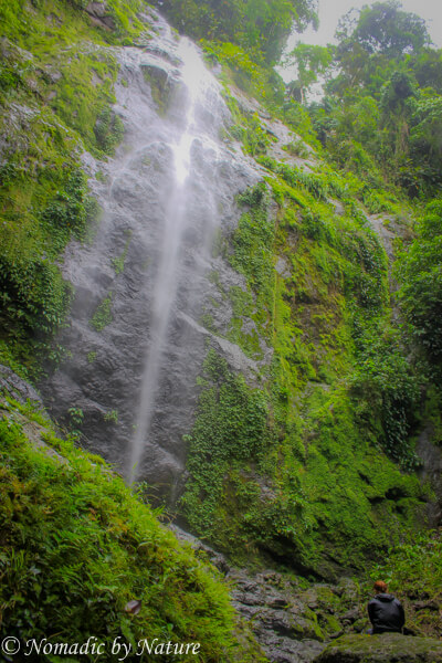 Borneo’s Danum Valley: Sabah’s Sanctuary • Nomadic By Nature