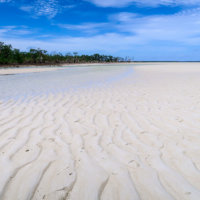 Exposed Seabed at Low-Tide, Ibo Island, Mozambique