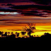 Sunset on Safari in the Jao Concession, Botswana