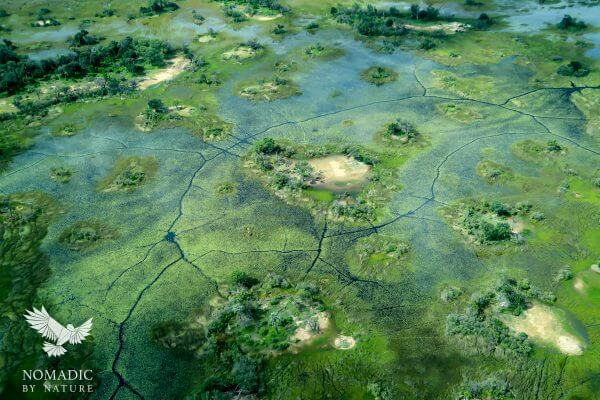 An Island in the Flooded Okavango Delta, Botswana