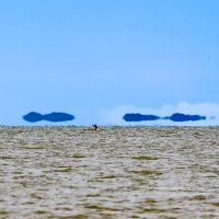 The Floating Islands of the Jade Sea, Lake Turkana, Kenya