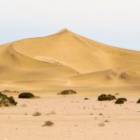 Desolate Landscapes on the Desert Safari, Dorob National Park, Namibia