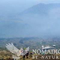 Approaching the Summit, Nyiragongo, Virunga National Park, DR Congo