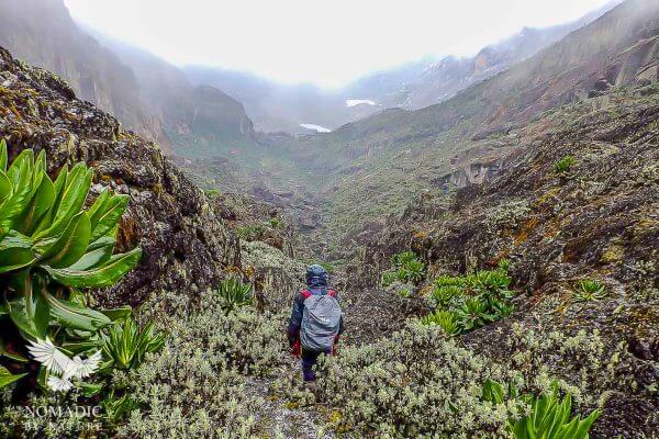 Descending from Weismann's Peak, Rwenzori Mountains National Park