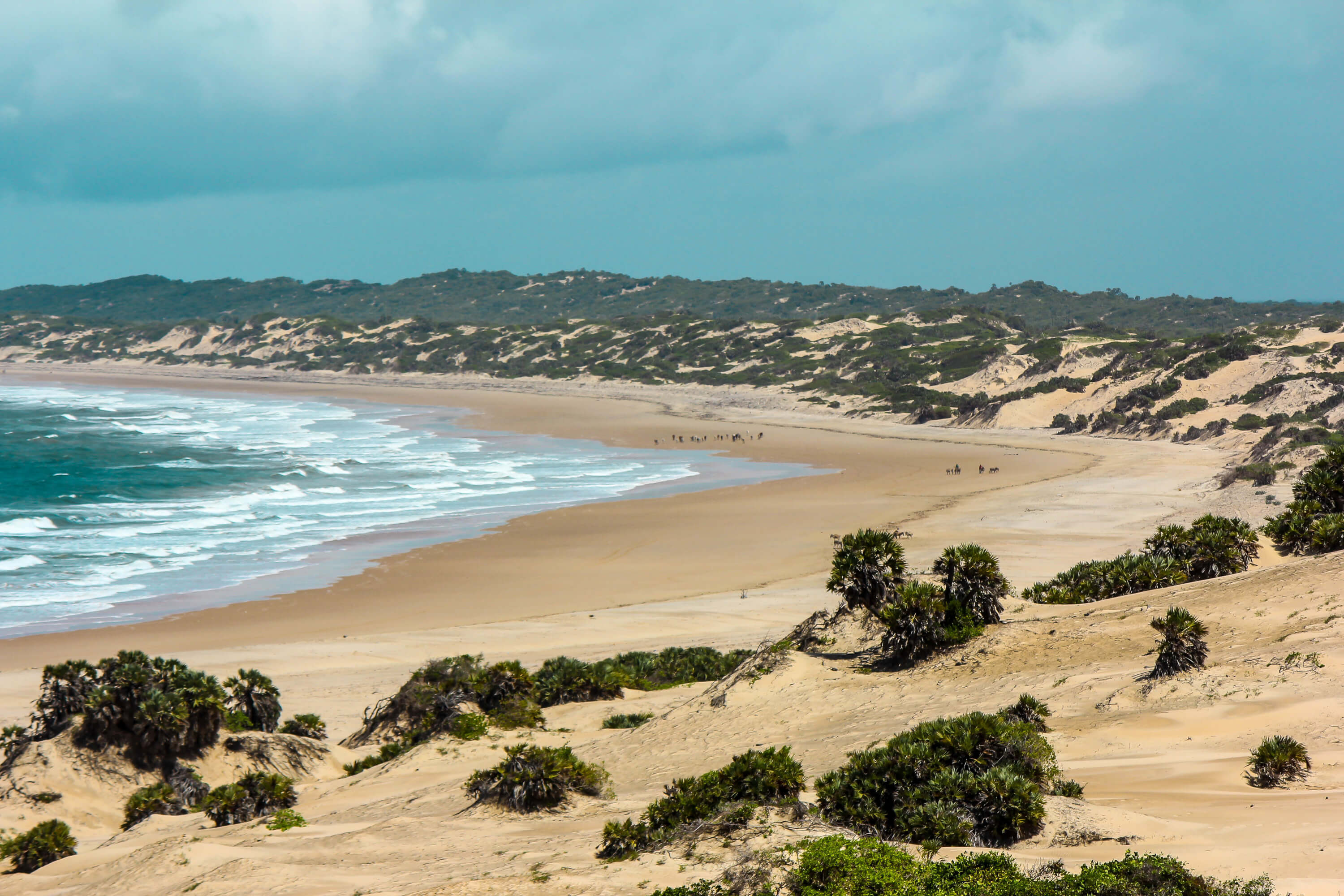 Shela: A Swahili Fishing Paradise • Nomadic by Nature