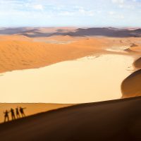 Summit Shadows from Big Daddy Dune, Sossusvlei, Namibia